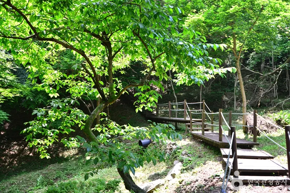 백아산 산악길(둔병재) 현장 사진 5 — 전남 화순 백아면