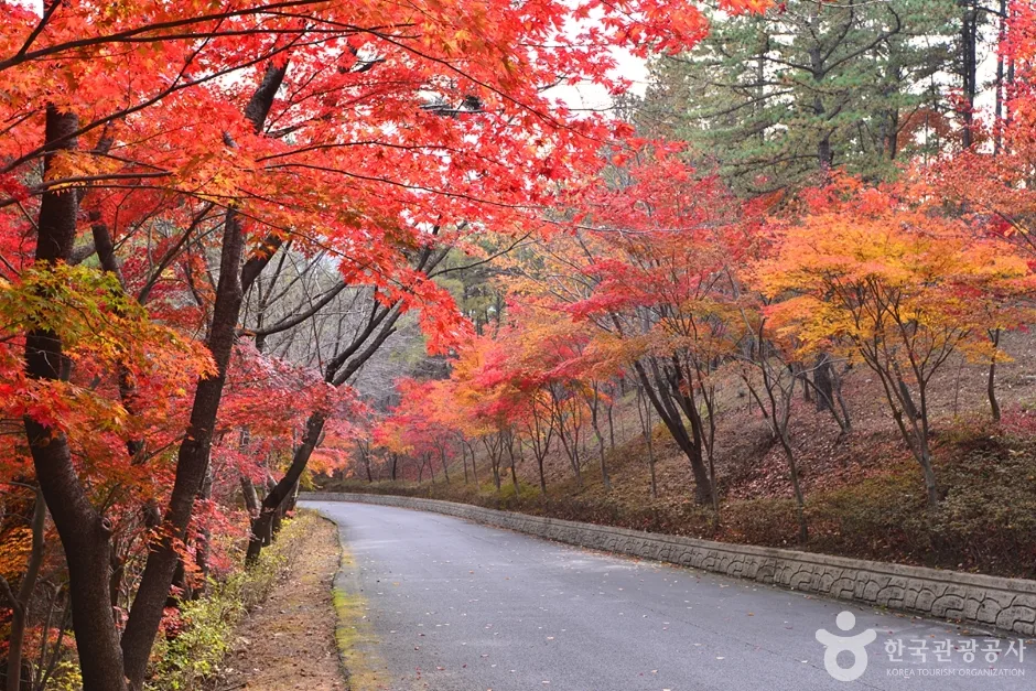 백아산 산악길(둔병재) 대표 사진 — 전남 화순 백아면 와인딩