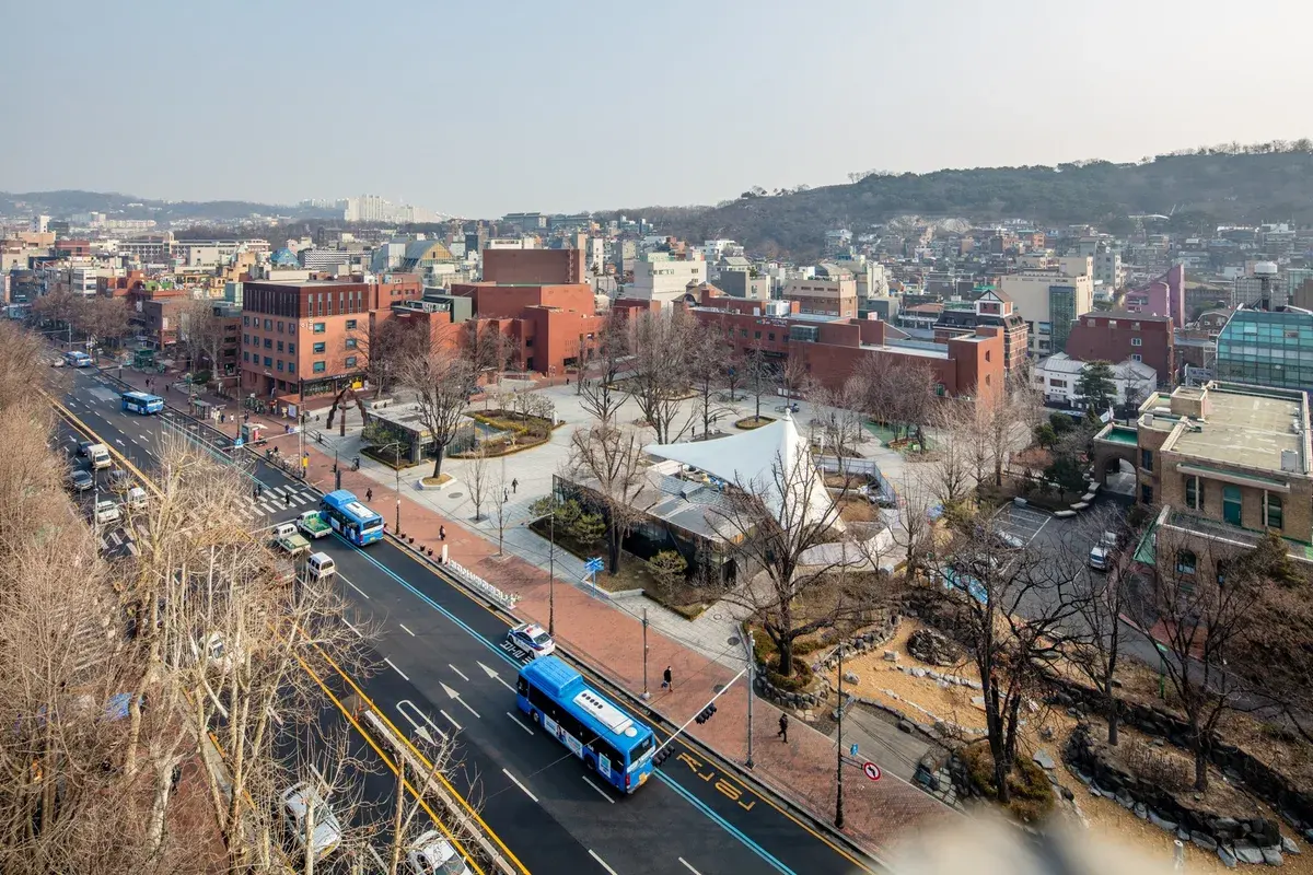 마로니에공원 현장 사진 3 — 서울 종로구