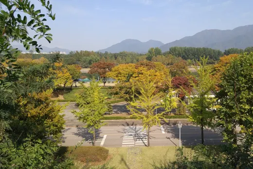 드말리 베이커리 앤 다이닝 — 경기 하남 미사 카페