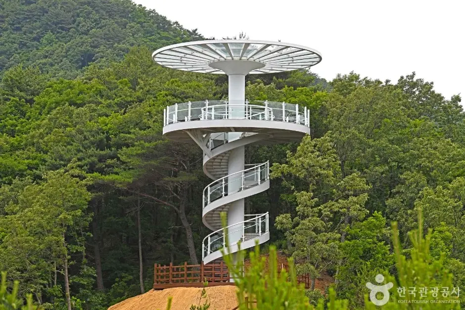 도마령 현장 사진 3 — 충북 영동
