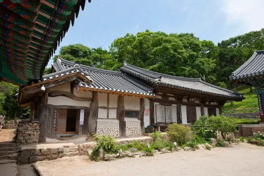 개심사 소나무숲길·일주문 — 충남 서산시 운산면 드라이브