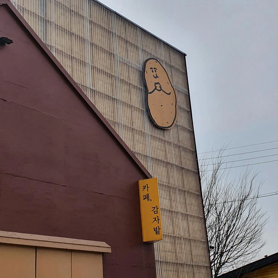 카페 감자밭 대표 사진 — 강원 춘천 신북읍 카페