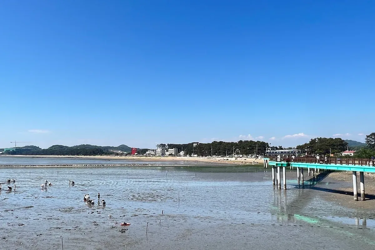 궁평항 뷰카페 대표 사진 — 경기 화성 서신 카페