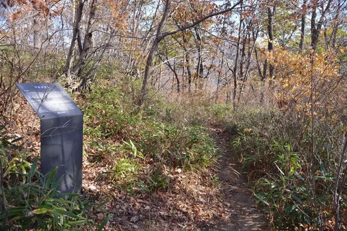 구룡령 현장 사진 2 — 강원 양양~홍천