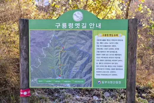 구룡령 — 강원 양양~홍천 와인딩