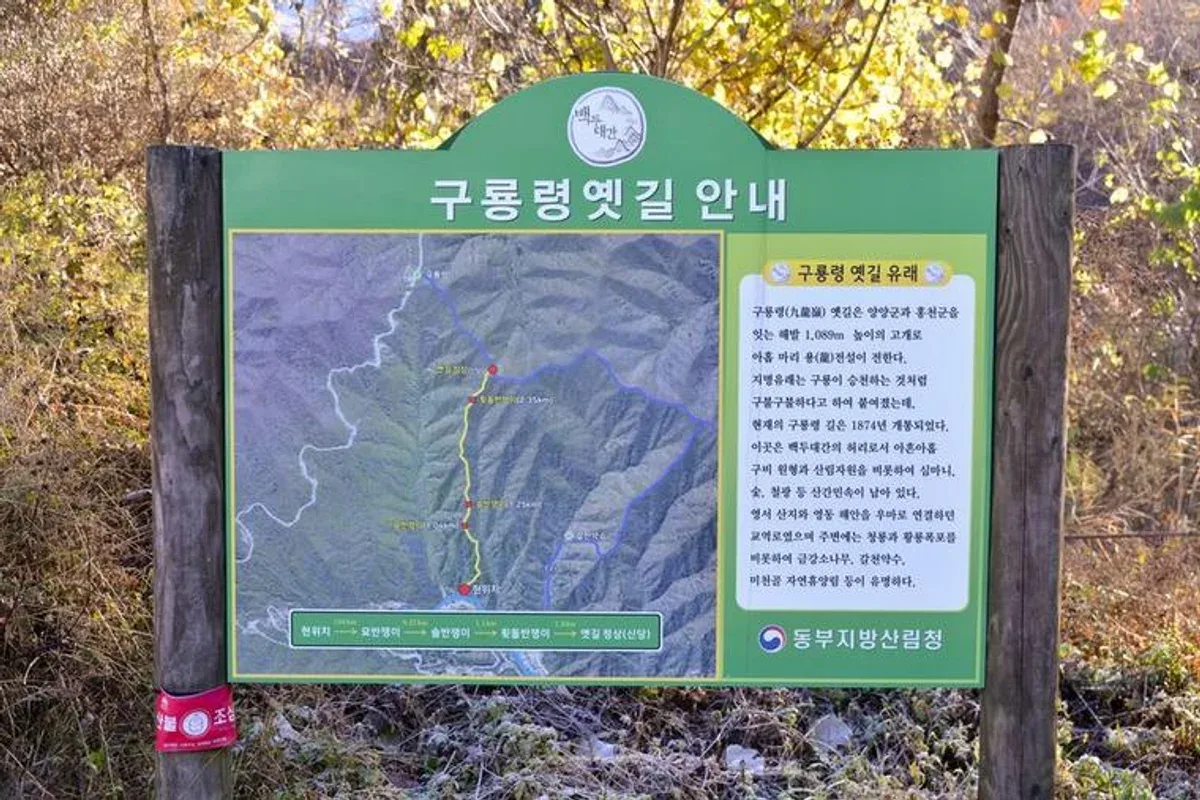 구룡령 대표 사진 — 강원 양양~홍천 와인딩