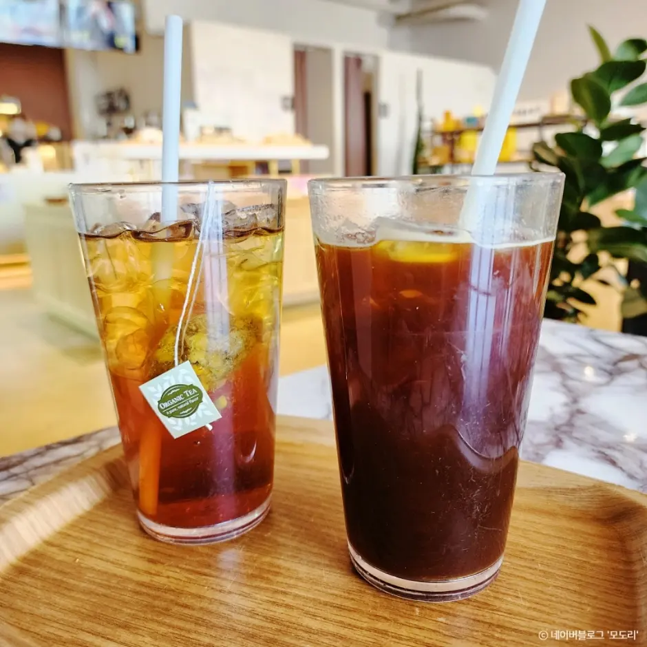 해례본 현장 사진 4 — 경기 파주 금촌