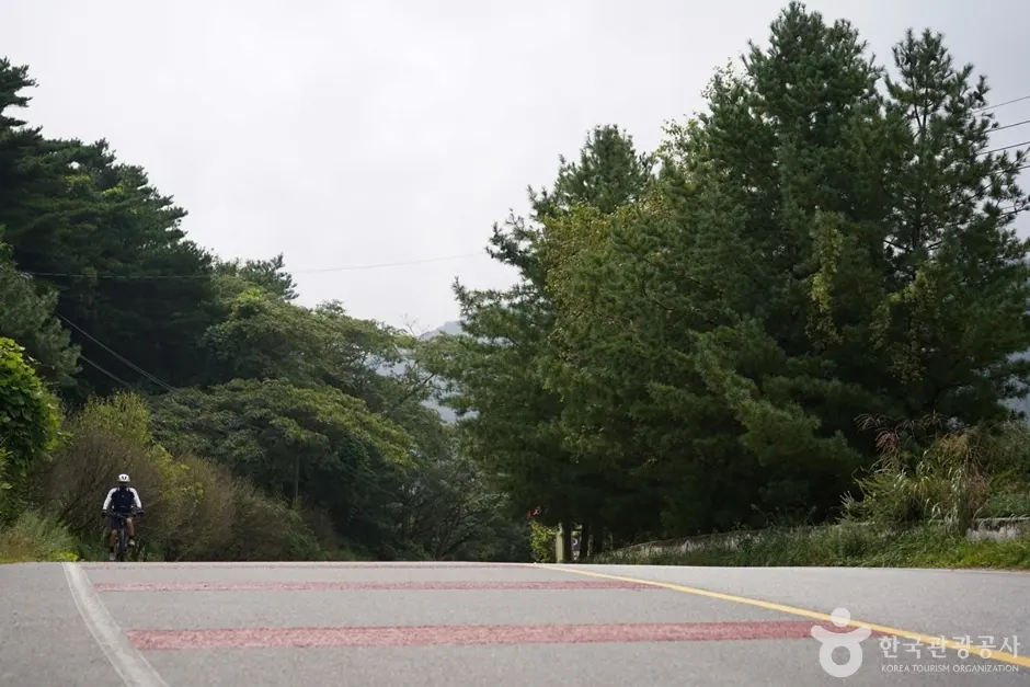 한티재(칠곡 지천) 현장 사진 2 — 경북 칠곡 지천면