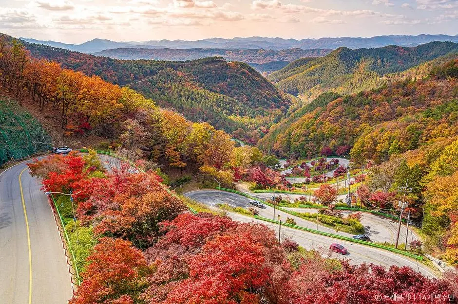 말티재 현장 사진 3 — 충북 보은 (속리산)