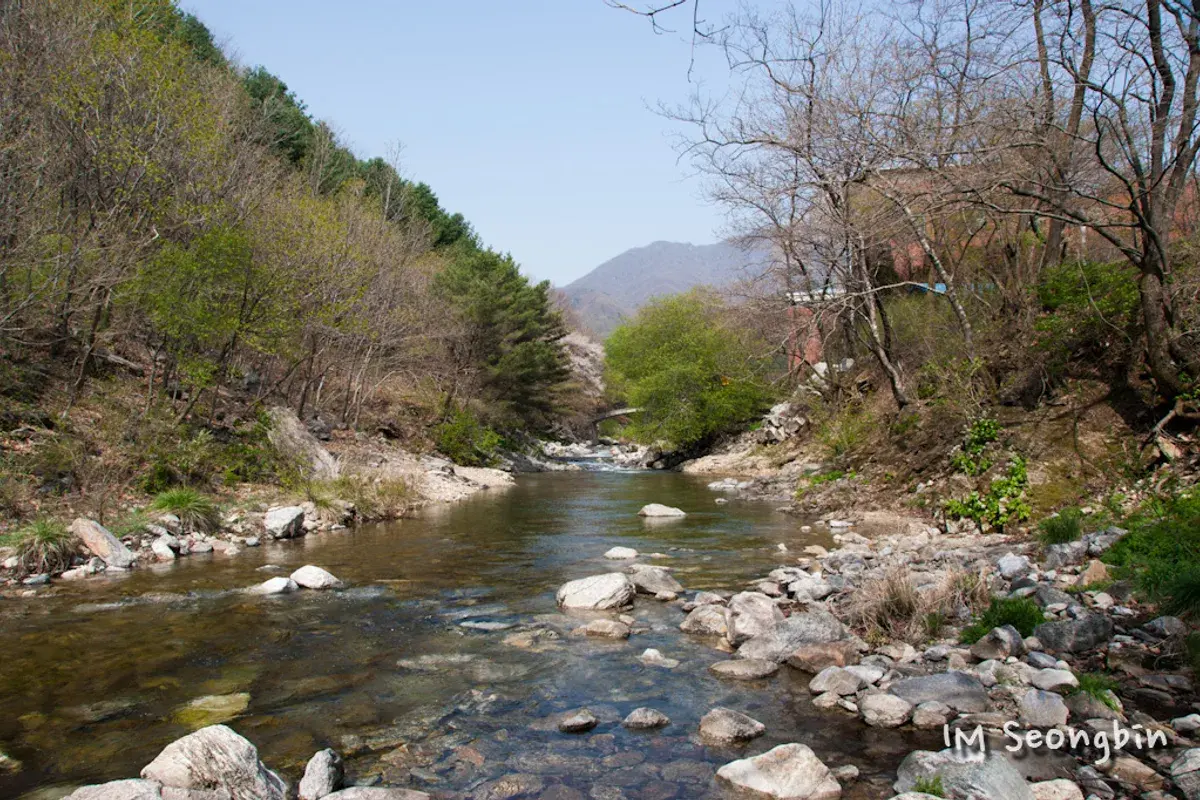 노채고개 현장 사진 2 — 경기 가평 조종면·포천 일동면 경계