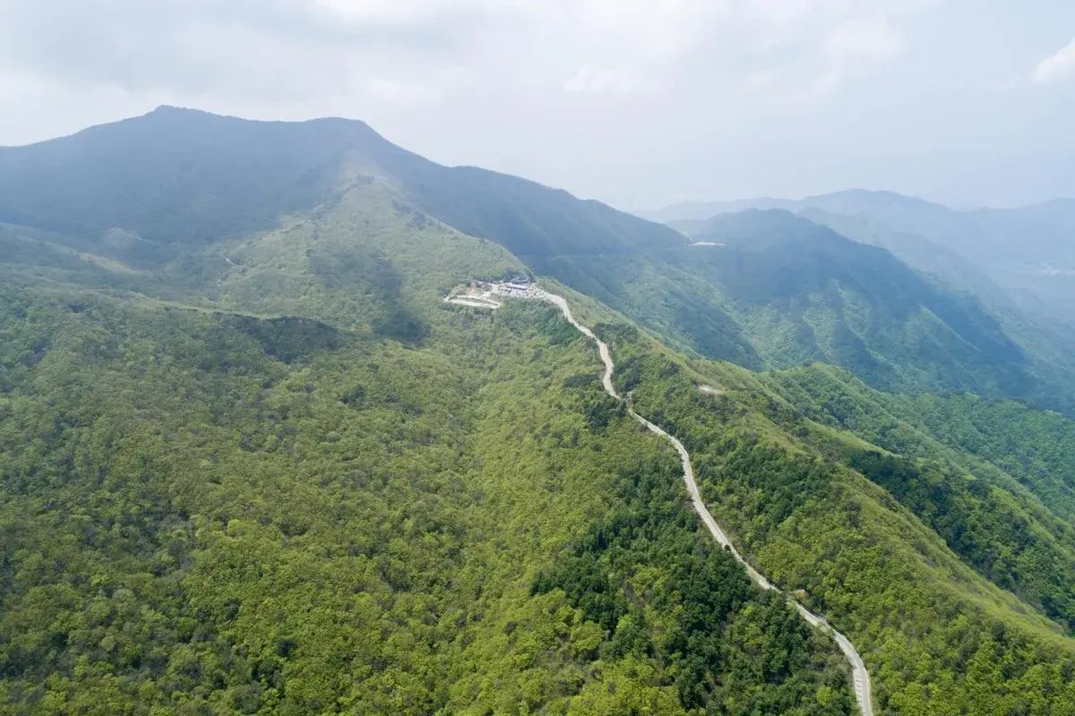 성삼재 현장 사진 3 — 전남 구례 (지리산)
